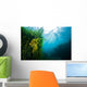 Vegetation Grows Barton Springs Wall Decal