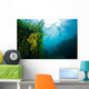 Vegetation Grows Barton Springs Wall Decal
