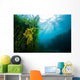 Vegetation Grows Barton Springs Wall Decal