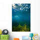 Vegetation Grows Barton Springs Vertical Wall Decal