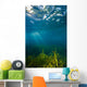 Vegetation Grows Barton Springs Vertical Wall Decal