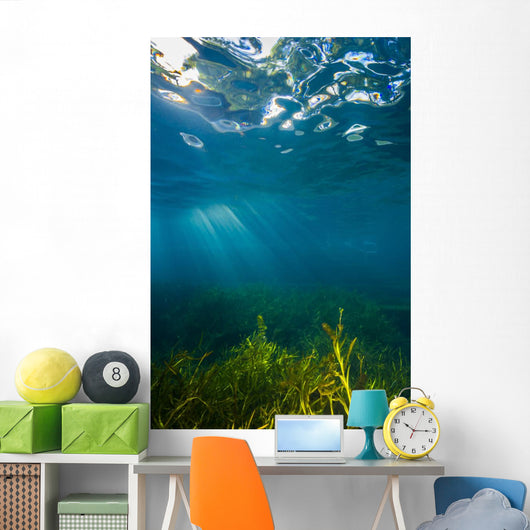 Vegetation Grows Barton Springs Vertical Wall Decal
