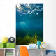 Vegetation Grows Barton Springs Vertical Wall Decal