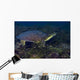 Softshell Turtles Inhabit Balmorhea Wall Decal