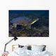 Softshell Turtles Inhabit Balmorhea Wall Decal