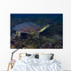 Softshell Turtles Inhabit Balmorhea Wall Decal
