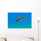 Mexican Tetra Balmorhea Springs Wall Decal