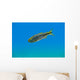 Mexican Tetra Balmorhea Springs Wall Decal