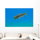 Mexican Tetra Balmorhea Springs Wall Decal