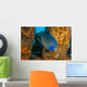 Blue Angelfish Swimming Down Wall Decal