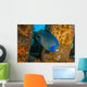 Blue Angelfish Swimming Down Wall Decal