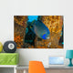 Blue Angelfish Swimming Down Wall Decal