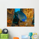 Blue Angelfish Swimming Down Wall Decal
