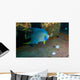 Blue Angelfish Swimming Horizontal Wall Decal