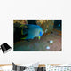 Blue Angelfish Swimming Horizontal Wall Decal