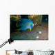 Blue Angelfish Swimming Horizontal Wall Decal