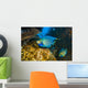 Blue Angelfish Swimming Close-up Wall Decal