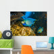 Blue Angelfish Swimming Close-up Wall Decal