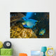 Blue Angelfish Swimming Close-up Wall Decal