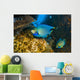 Blue Angelfish Swimming Close-up Wall Decal