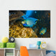 Blue Angelfish Swimming Close-up Wall Decal