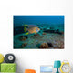 Blue Angelfish Swimming Wall Decal