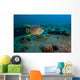 Blue Angelfish Swimming Wall Decal