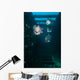 Atlantic Spadefish Swimming Vertical Wall Decal