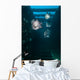 Atlantic Spadefish Swimming Vertical Wall Decal