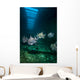 Atlantic Spadefish Swimming Wall Decal