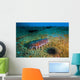 Sea Cucumbers and Urchins Wall Decal