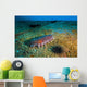 Sea Cucumbers and Urchins Wall Decal