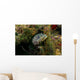 Oyster Toadfish Hiding Wall Decal