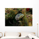 Oyster Toadfish Hiding Wall Decal