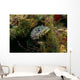 Oyster Toadfish Hiding Wall Decal