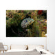 Oyster Toadfish Hiding Wall Decal