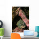 Oyster Toadfish Wall Decal