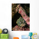 Oyster Toadfish Wall Decal