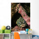 Oyster Toadfish Wall Decal
