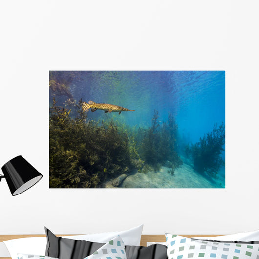 Spotted Gar Move Slowly Wall Decal