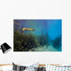 Spotted Gar Move Slowly Wall Decal