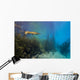 Spotted Gar Move Slowly Wall Decal