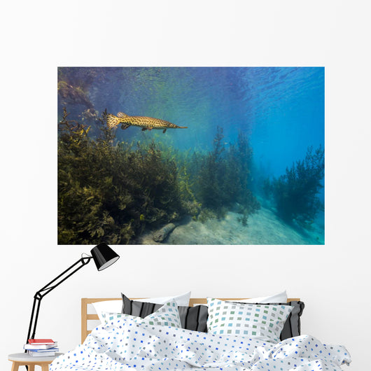 Spotted Gar Move Slowly Wall Decal
