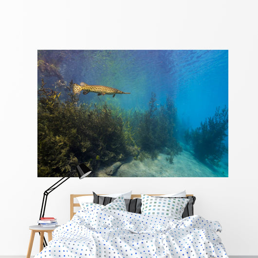 Spotted Gar Move Slowly Wall Decal
