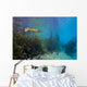Spotted Gar Move Slowly Wall Decal