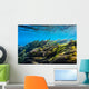 Vegetation Sways Flow Springs Wall Decal