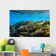 Vegetation Sways Flow Springs Wall Decal