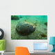 Female Horseshoe Crab Close-up Wall Decal