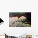 Female Horseshoe Crab Scuttling Away Wall Decal