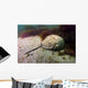 Female Horseshoe Crab Scuttling Away Wall Decal